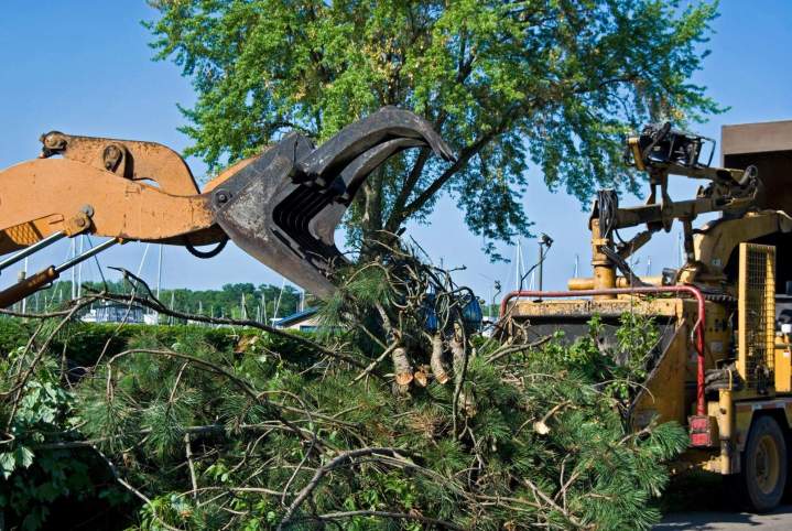 Broyeur de branches Conflans-sur-Anille